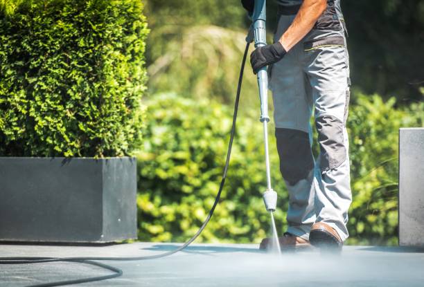 Best Soft Washing  in West Freehold, NJ